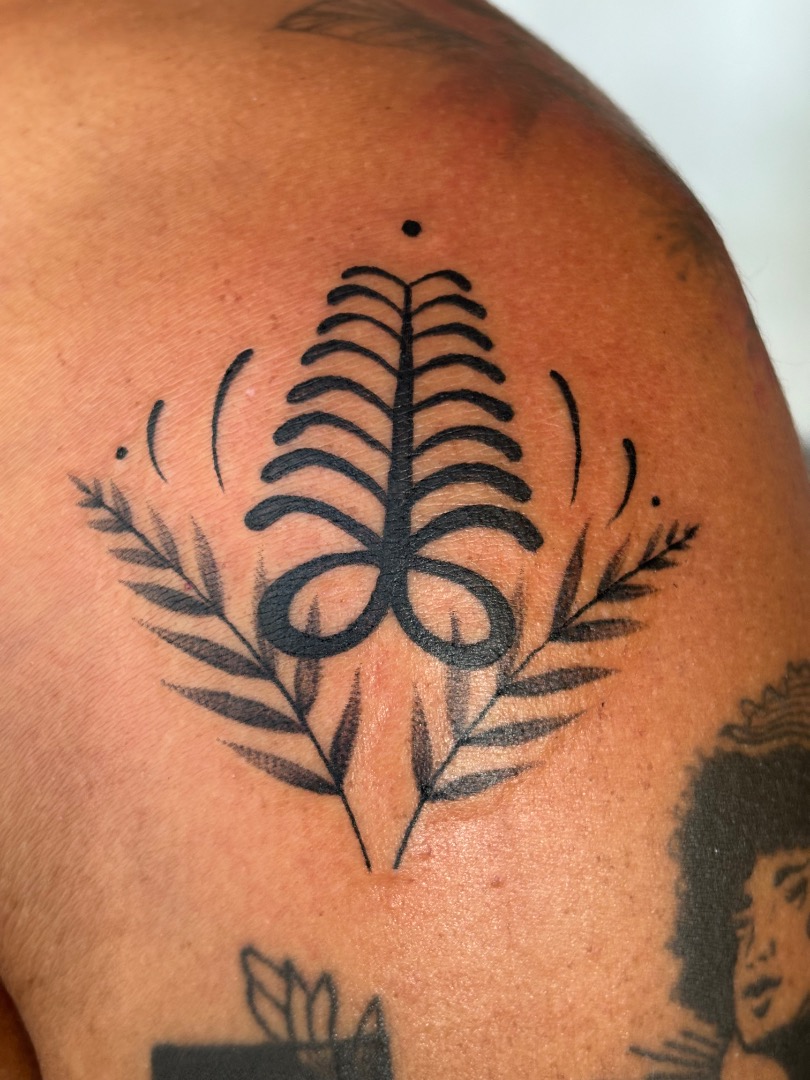 Adinkra aya escolhido entre os flashes disponíveis.