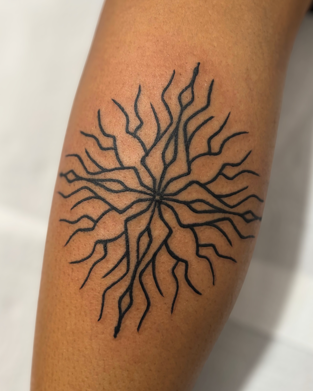 Flash de Mandala raízes e caminhos