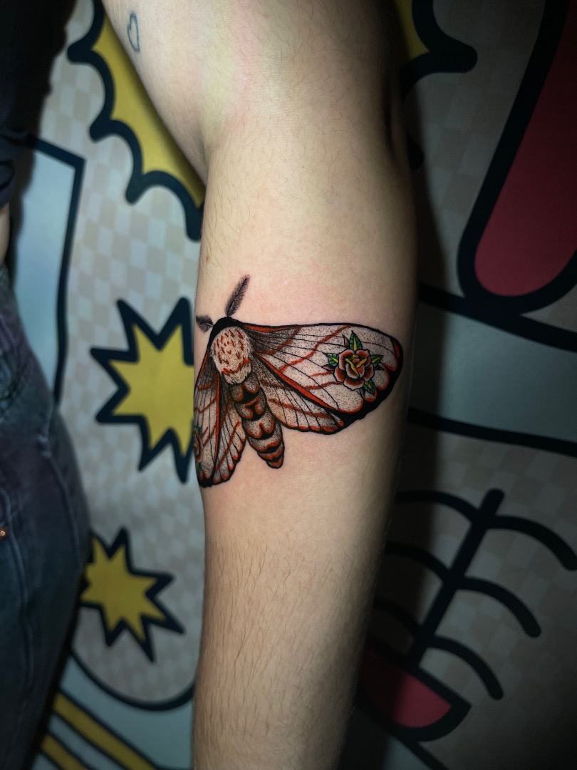 Alguns dos trabalhos de botânica/bichos e de um dark